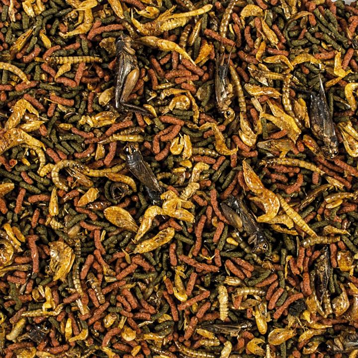 Tropical Soft Line Carnivore (2.8oz)