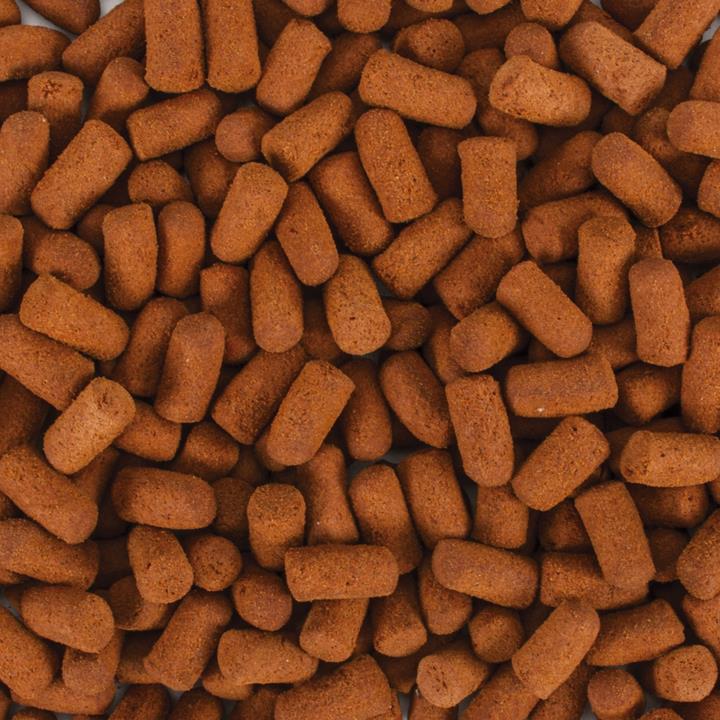 Tropical Soft Line Monster Fish (11.3oz)