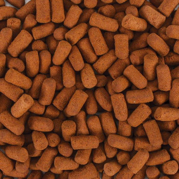 Tropical Soft Line Monster Fish (11.3oz)