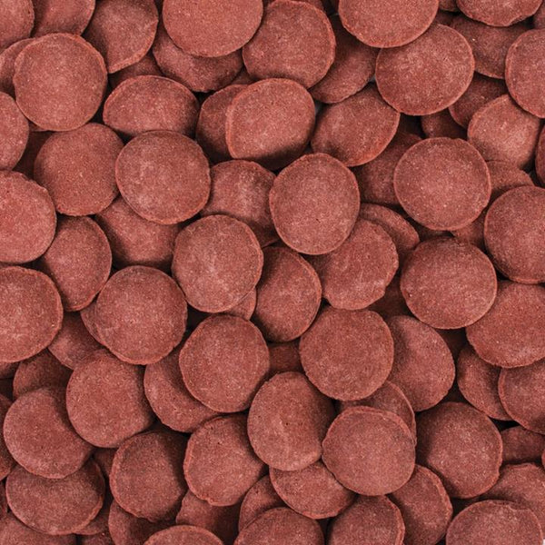 Tropical Hi-Protein Discs XXL (17.6oz)