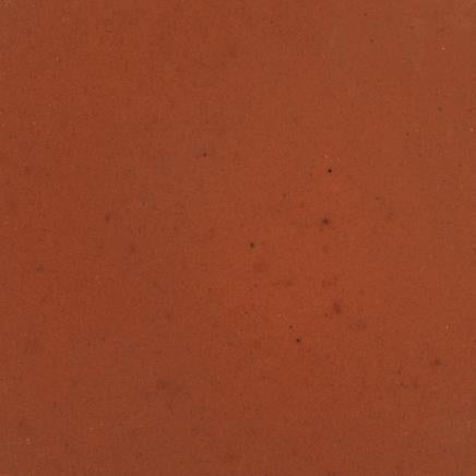 Tropical Gel Formula for Carnivorous Fish (1.8oz)