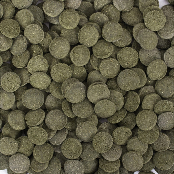 Tropical Hi-Algae Discs (5.3oz)