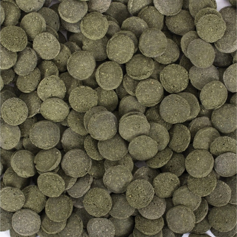 Tropical Hi-Algae Discs (5.3oz)
