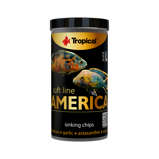 Tropical Soft Line America L (4.6oz)