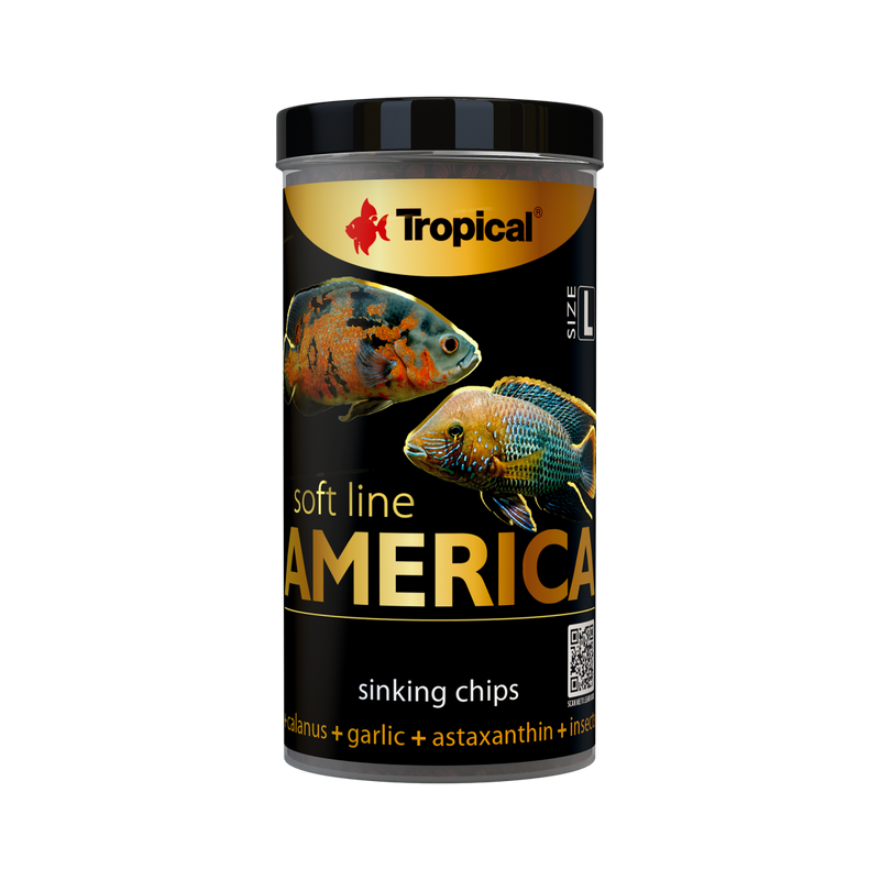 Tropical Soft Line America L (4.6oz)
