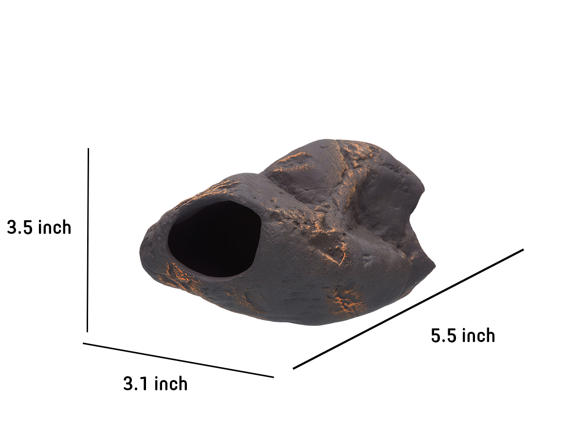 Cichlid Stone - Magma S