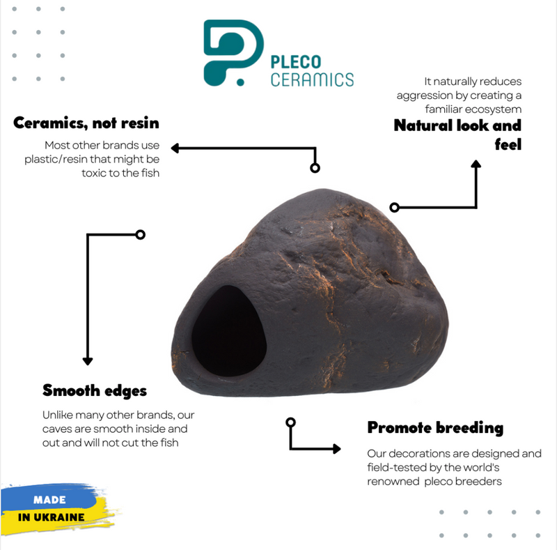 Cichlid Stone - Magma S