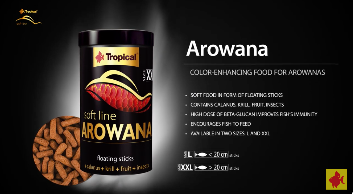 Tropical Soft Line Arowana XXL Sticks (2.8oz)