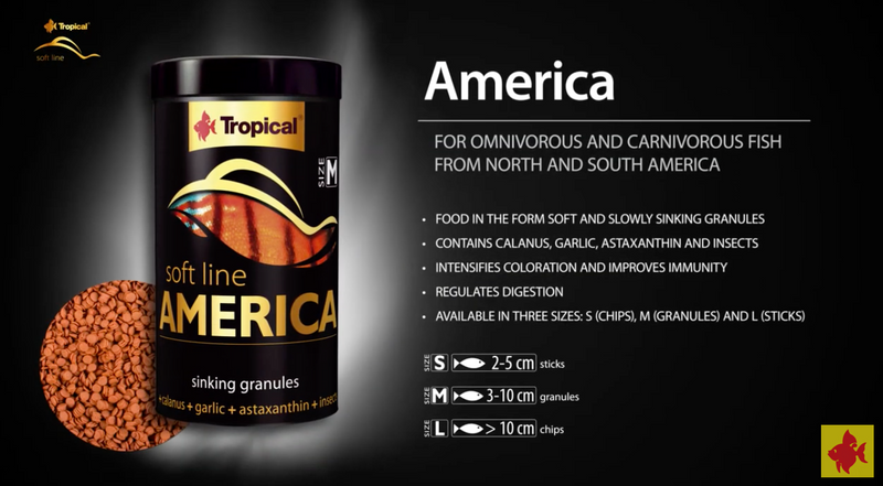 Tropical Soft Line America M (5.3oz)