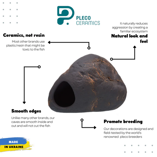 Cichlid Stone - Magma M