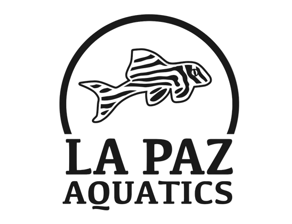 La Paz Aquatics