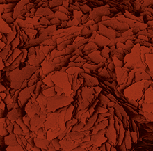 Tropical Astacolor Flakes (3.5oz)