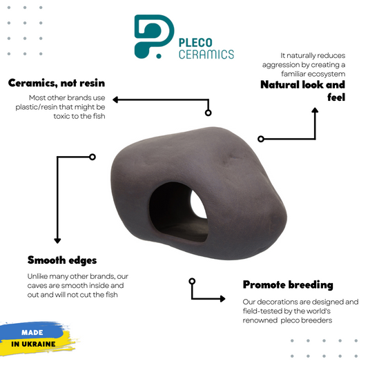 Cichlid Stone - Original S