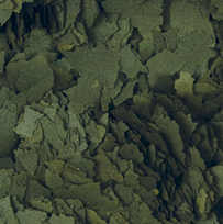 Tropical Super Spirulina Forte Flakes (7.1oz)